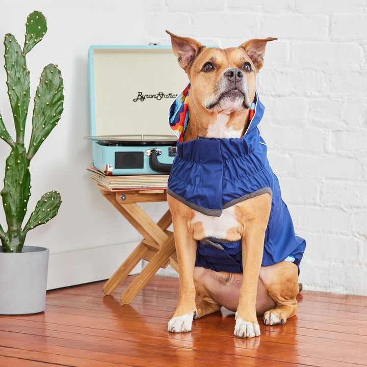 Reversible Elasto-Fit Raincoat - Navy/Navy by GF Pet