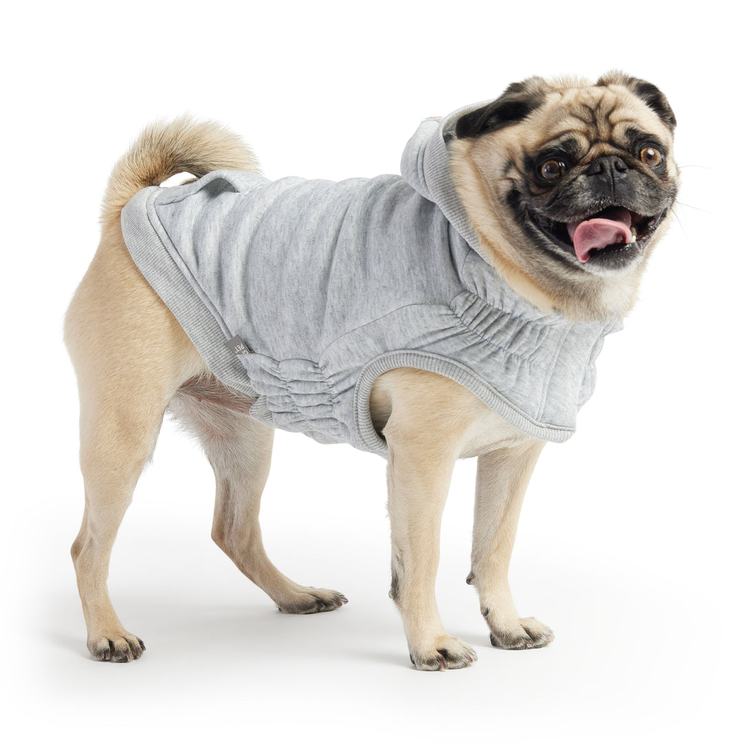 Urban Hoodie - Heather Grey by GF Pet