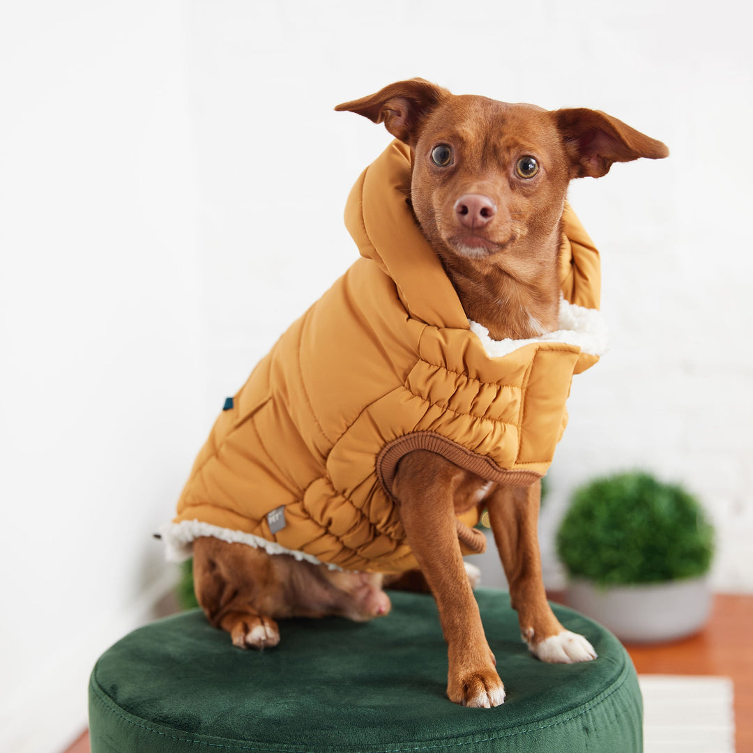 The Puff Parka - Yellow by GF Pet
