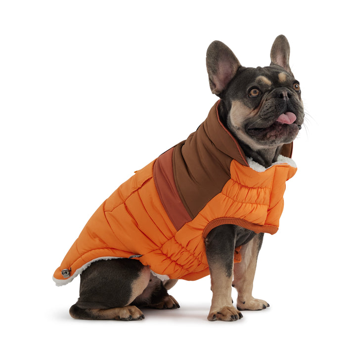 Camplife Puffer - Orange by GF Pet