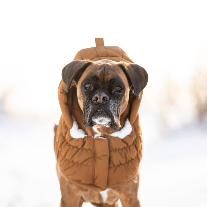 Arctic Parka - Wood by GF Pet