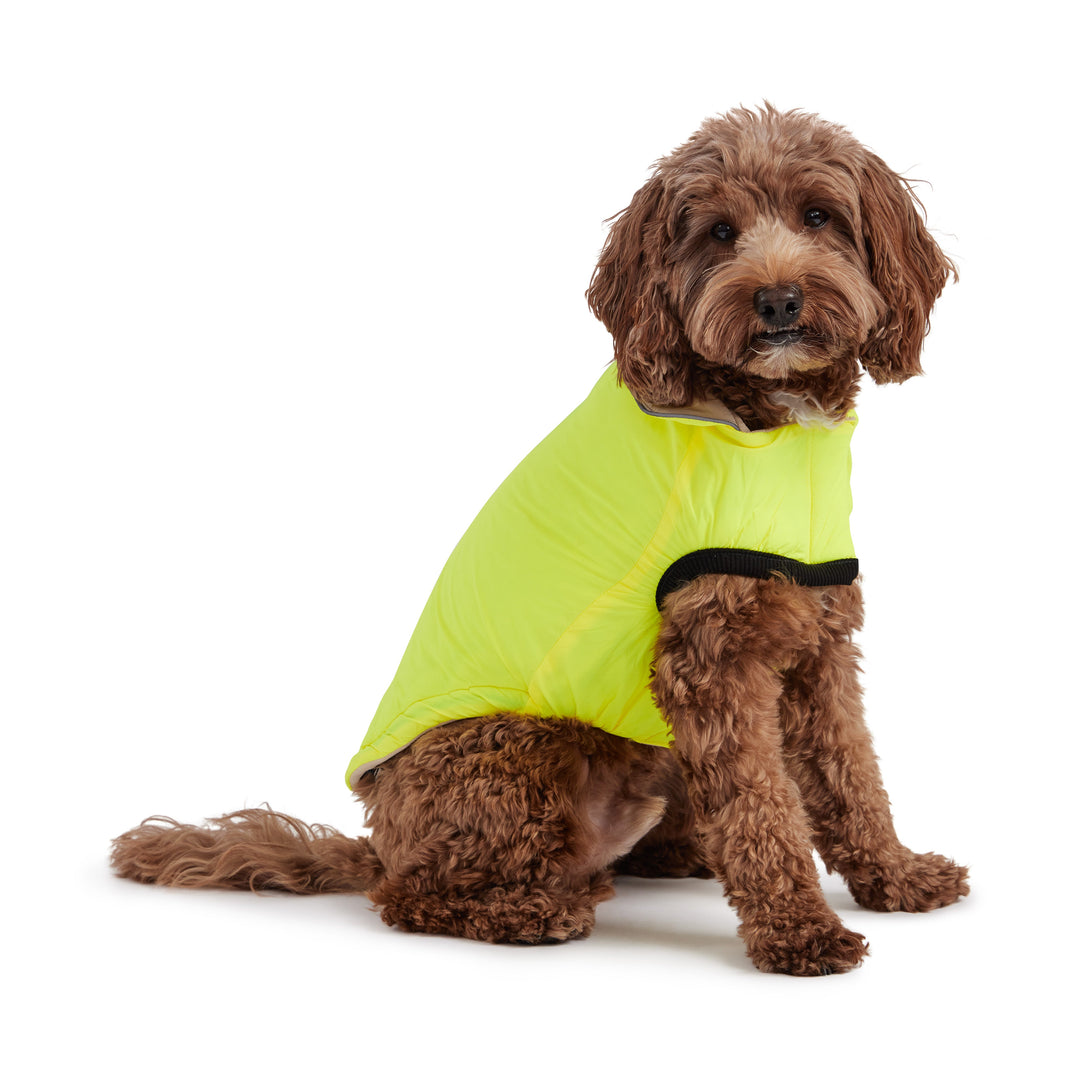 Reversible Chalet Jacket - Sand/Yellow by GF Pet