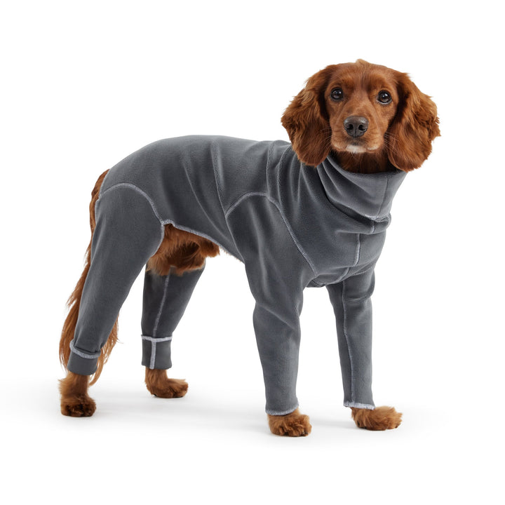 Gondola Onesie - Charcoal by GF Pet
