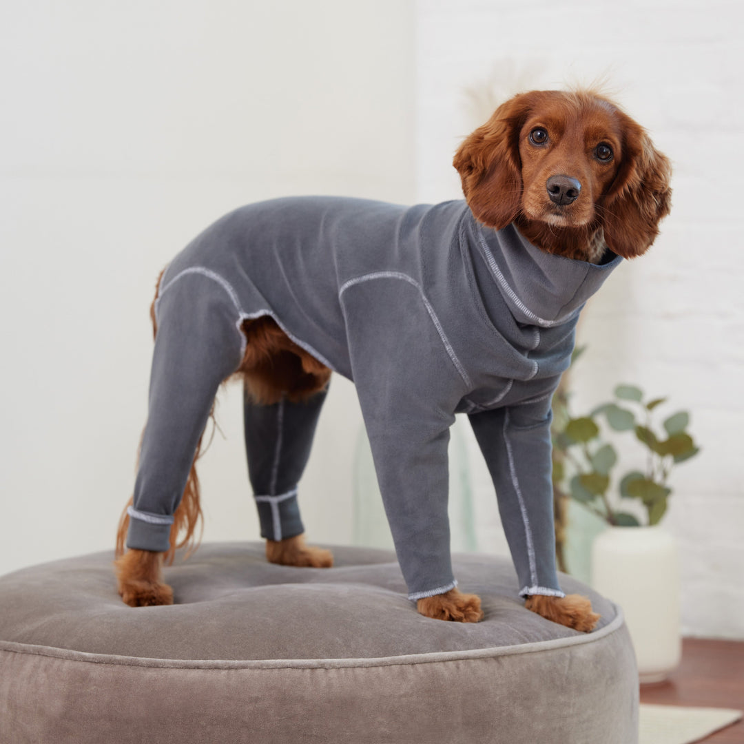 Gondola Onesie - Charcoal by GF Pet