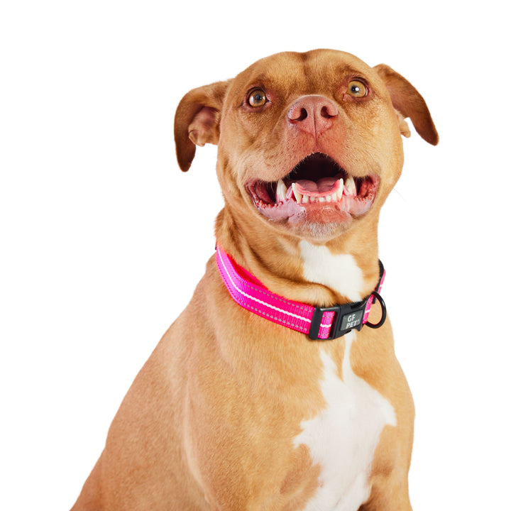 Reflective Collar - Neon Pink by GF Pet