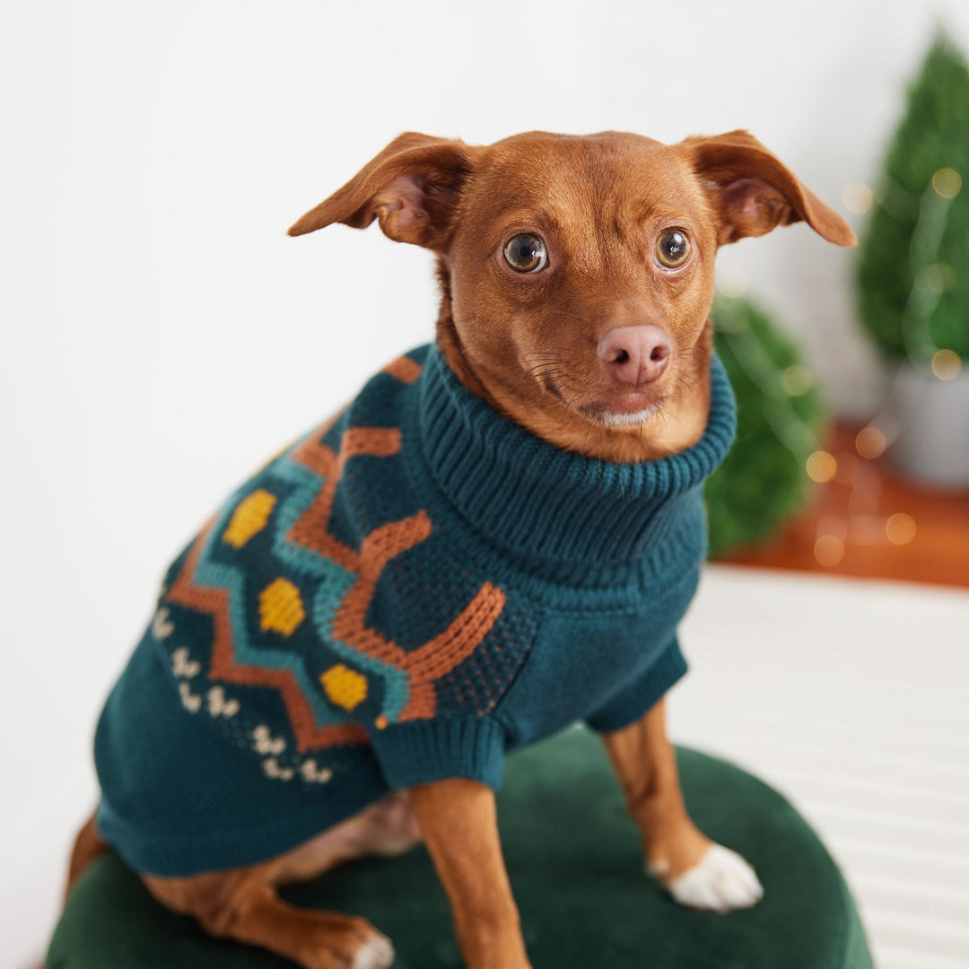 Heritage Sweater - Teal by GF Pet