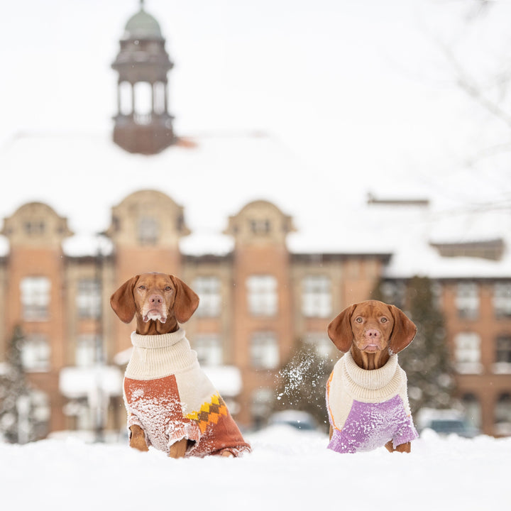 Fireside Sweater - Purple by GF Pet