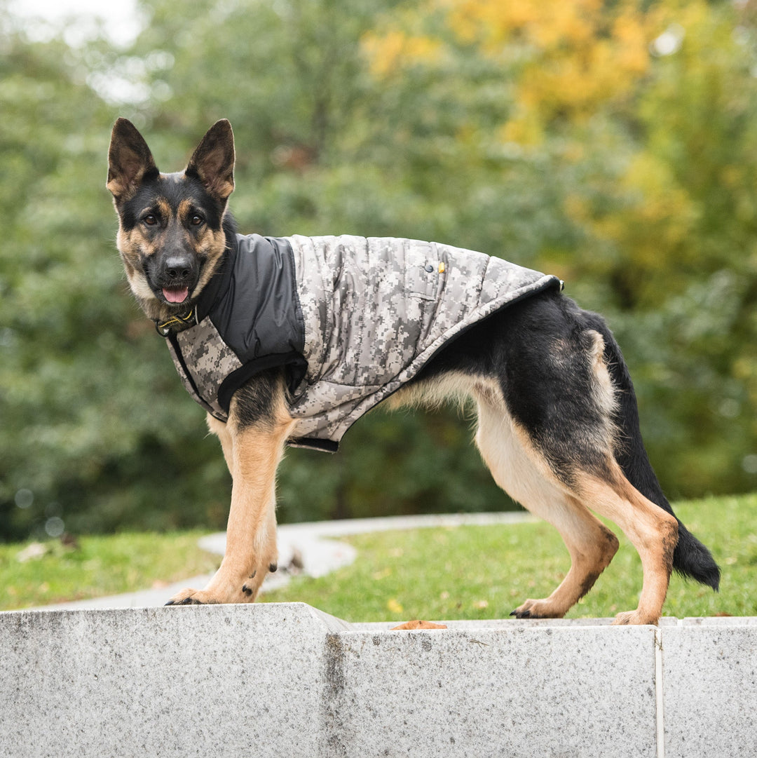 US Army Dog Jacket - Camo by GF Pet