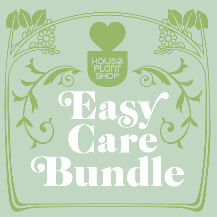 Easy Care Variety Bundle by House Plant Shop